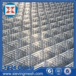 SS Welded Wire Mesh