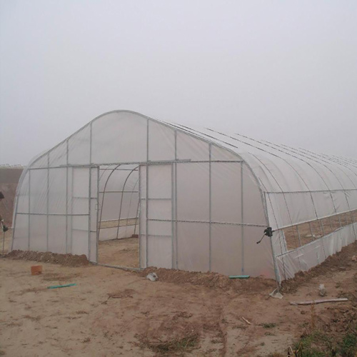 Galvanized Frame Single span PE Film greenhouse Manufacturers and Galvanized Frame Single span PE Film greenhouse Suppliers