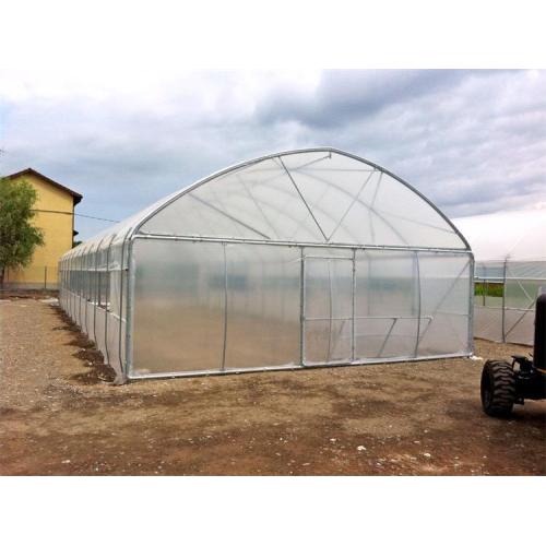 Single Span Plastic Film Green house For Plant Manufacturers and Single Span Plastic Film Green house For Plant Suppliers