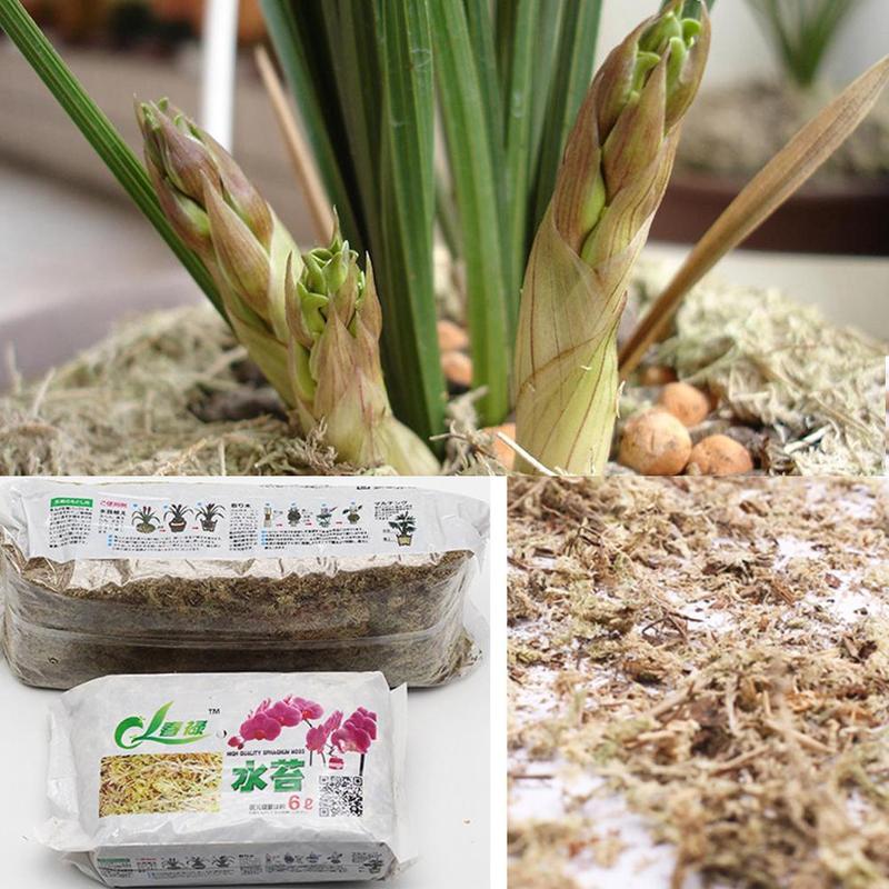 6L Sphagnum Moss Garden Supplies Moisturizing Nutrition Organic Fertilizer For Phalaenopsis Orchid