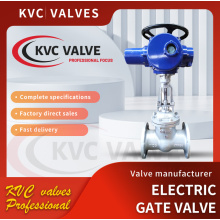 DN15 - 300 Electric flange gate valve