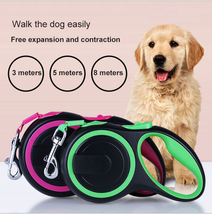 Dog Leash On Sale