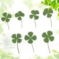 10Pcs Dried Leaf Clover UV Resin Decor Nail Art Epoxy Mold DIY Filling Jewelry