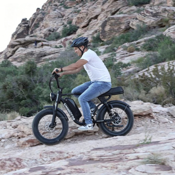 F2 500W Motor Fat Tire E-Bike