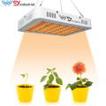 WENYI 2021 Best Selling SMD 1000w Grow Lights