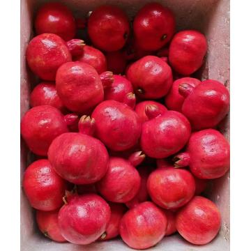 Premium Binchuan Pomegranate Delight DLXG Original Alpine Fresh Fruit