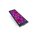 High Quality 10W LED Plant Grow Light with Full Spectrum