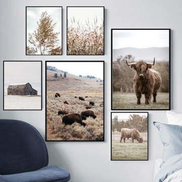 Decor Farmhouse Poster Photography Wall Art Highland Cow Animal Canvas Farm Wheat Plant Print Pictures Painting Home Decoration