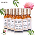 Famous brand oroaroma Helichrysum Cinnamon Ylang Bergamot Jojoba Argan Essential Oils Pack For Aromatherapy Spa Bath 10ml*6