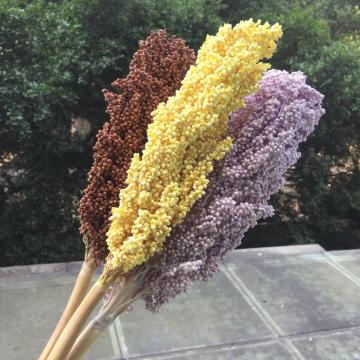 1pcs/40cm,Natural Grade A Preserved Sorghum Ear Bouquet,Eternelle Display Flowers for Wedding Home Xmas Decoration accessories