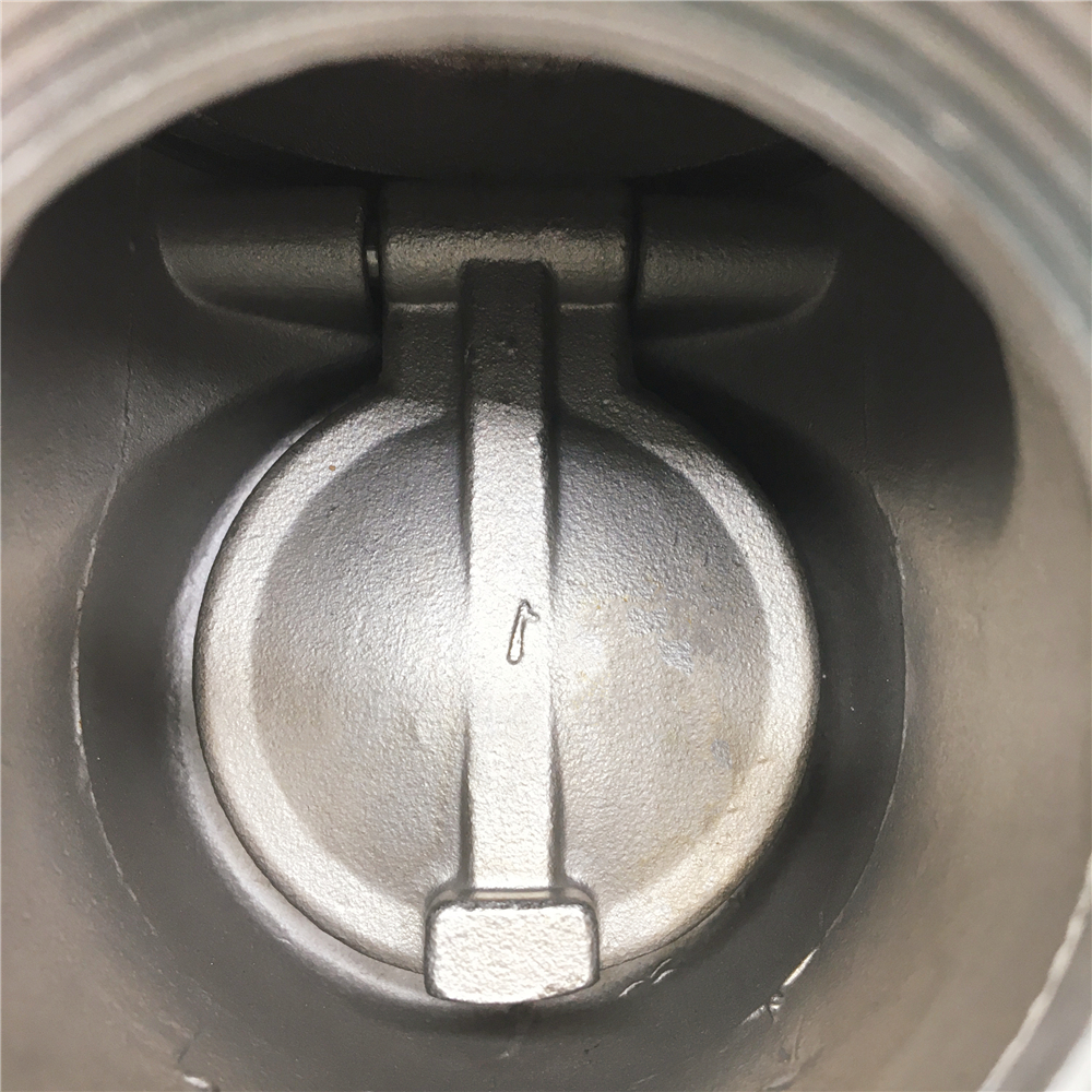 Swing Check Valve9