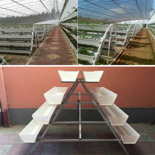 Commercial Strawberry Gully Hydroponics Channel Manufacturers and Commercial Strawberry Gully Hydroponics Channel Suppliers