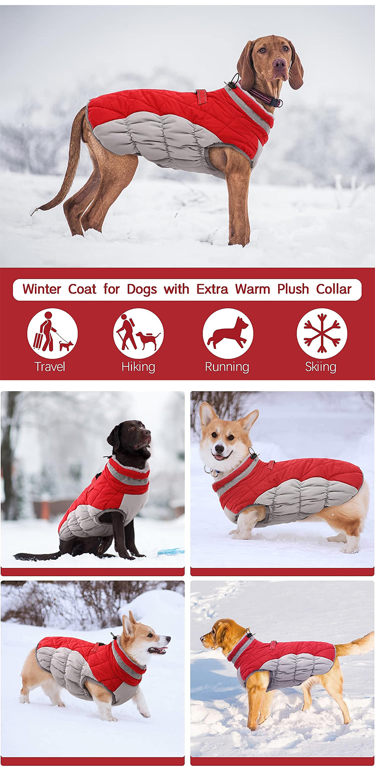 pet snow jacket   (5)