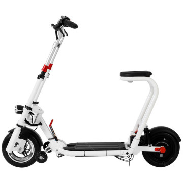 Electric Scooter Bicycle Full Folding Two Wheels Electric Bicycle Motorcycle 10 Inch 48V 350W Portable Electric Bike For Adults