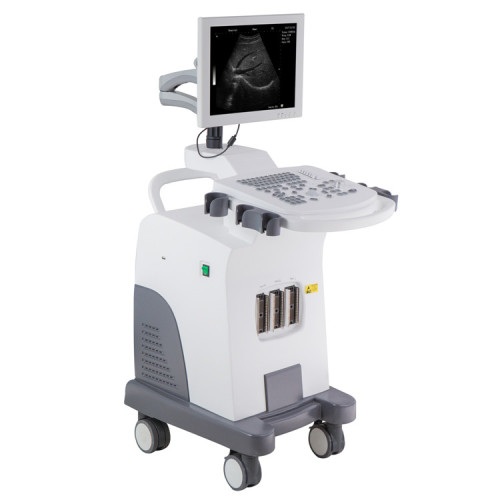 Ultrasound Scanner Machine with Trolley Design Manufacturers and Suppliers from China