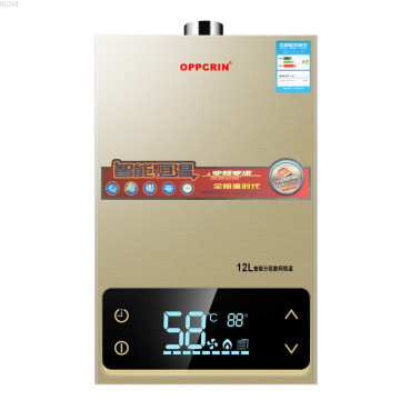 12L16L Gas Water Heater Bathing Frequency Conversion Intelligent Constant Temperature Natural Gas Liquefied Gas Strong Emission