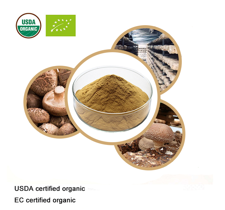 USDA and EC Certified organic Shiitake Mushroom Extract 10:1 Immunity Enhancing AHCC