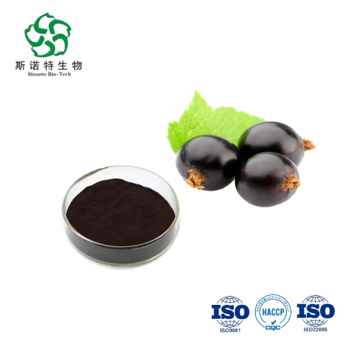 Anti-oxidant Black Currant Extract Powder Anthocyanin for Sale, Offer Anti-oxidant Black Currant Extract Powder Anthocyanin