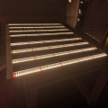 Powerful 5x5ft LM301H/301B Quantum Bar LED Grow Light