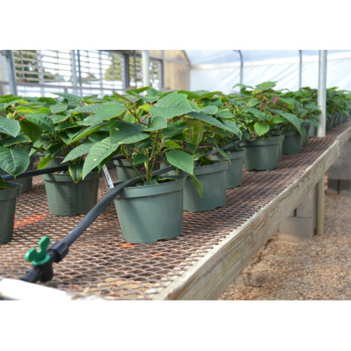 Greenhouse Drip Tape-Irrigation for Agriculture Manufacturers and Greenhouse Drip Tape-Irrigation for Agriculture Suppliers