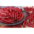 Chinese Dried Chili Best