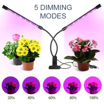 LED Grow Light USB LED Full Spectrum Lamp For Indoor Vegetable Flower Plant Tent Box Seedlings Seeds Growing Lamps For Home