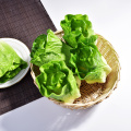 Artificial fake decorative real touch PU teaching Props lettuce faux vegetables Pretend Play photography prop fruits