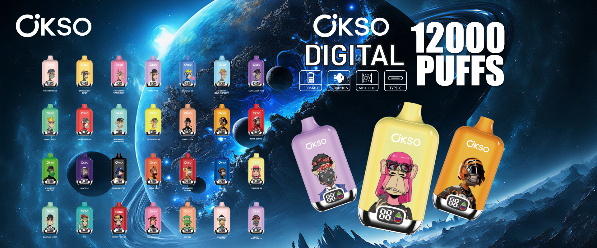 OKSO Digital box 12000 (2)
