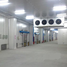 High Production Food And Meat Blast Freezer Room