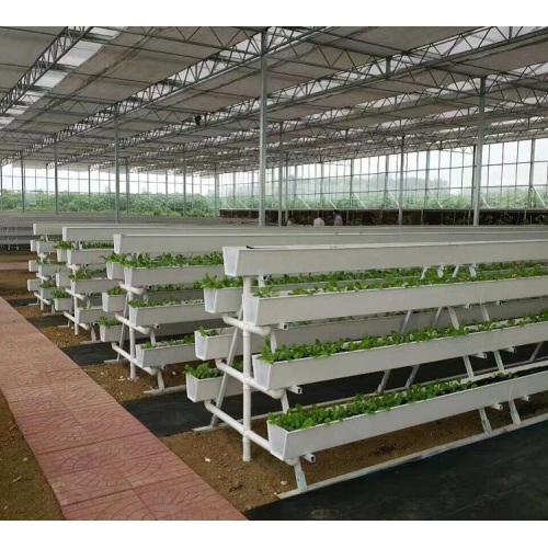 NFT Hydroponic Growing Gully for Greenhouse Manufacturers and NFT Hydroponic Growing Gully for Greenhouse Suppliers