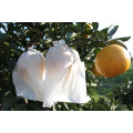 Tangerine Fruit Protection Bag