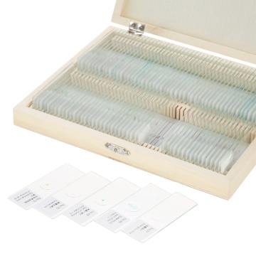 Biology 25/100 pieces prepared glass microscope slide school and laboratory with Chinese English label teaching samples