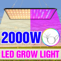 1000W Grow Light Led Full Spectrum Lamp 1500W 2000W Led Plant Light Bulb Greenhouses Indoor Phyto Lamp Grow Tent US EU UK Plug