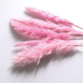 10pcs pink color