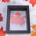 1Pc Double-sided Glass Photo Frame Plant Dried Flower Leaves Specimen Frame DIY Paper-cut Picture Frame