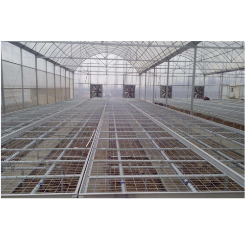 Skyplant Agriculture Greenhouse Seed Rolling Bench Bed Manufacturers and Skyplant Agriculture Greenhouse Seed Rolling Bench Bed Suppliers