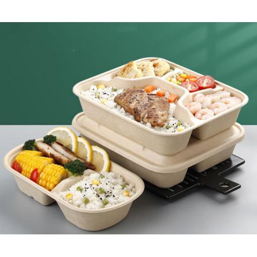 Suppliers for 100% Compostable Sugarcane pulp Lunch Box