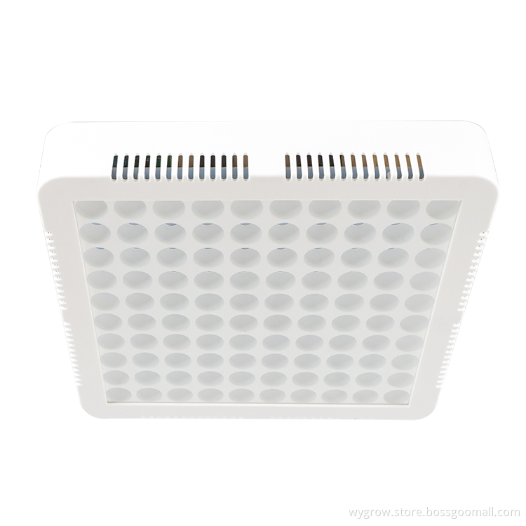 hydroponic full spectrum led grow light 300w