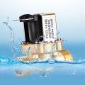 1/2 Inch Ac 220V Normally Closed Brass Electric Solenoid Netic Valve for Water Control Chemical Liquid Industry Pumps