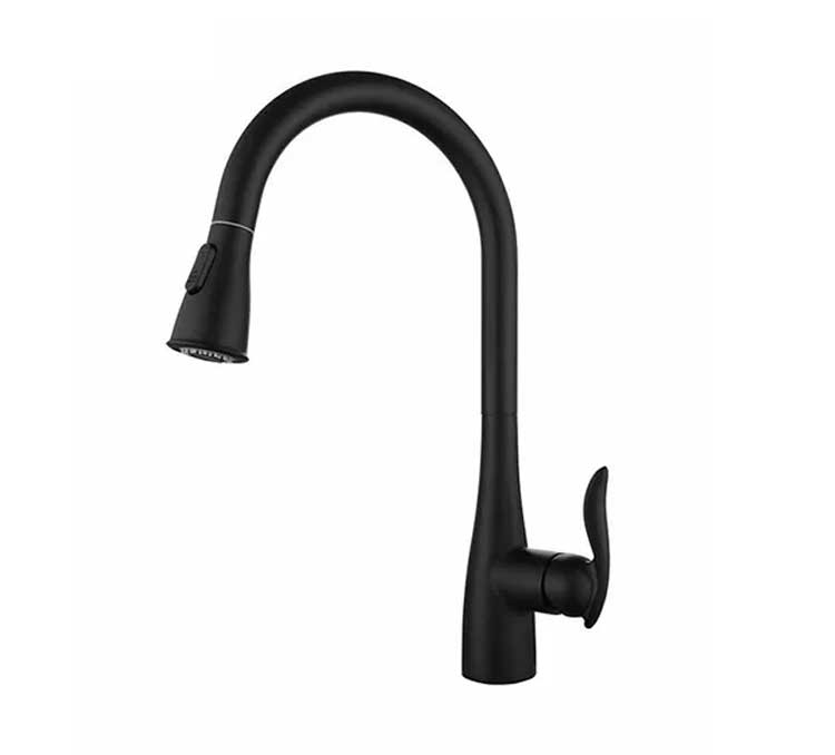 Drawout Flush Pull Down Kitchen Faucets