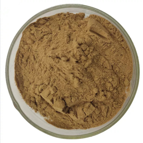 Herb Seed Powder Milk Thistle Extract for Sale, Offer Herb Seed Powder Milk Thistle Extract