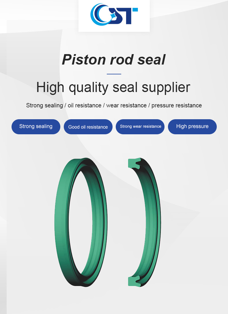 BS Rod Seals