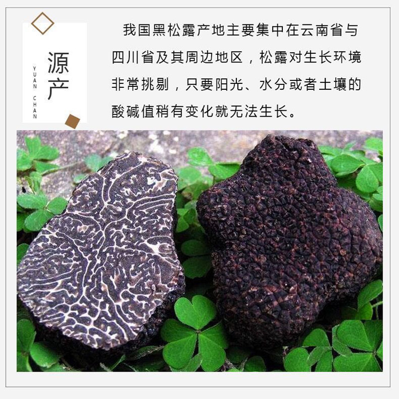 Natural wild organic Truffle Black truffle dry goods Boost immunity Anti-cancer, beauty, anti-wrinkle, liver protection