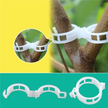 50/100Pcs Plastic Plant Support Clips Vine Tomato Stem Vegetable Fixing Clip Garden Greenhouse Accessories 30mm Plant Clips