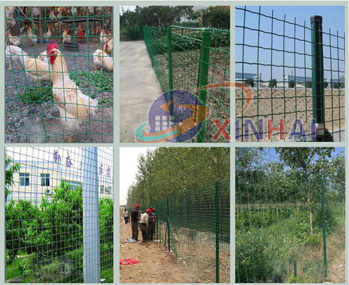 Holland Wire Mesh Fence