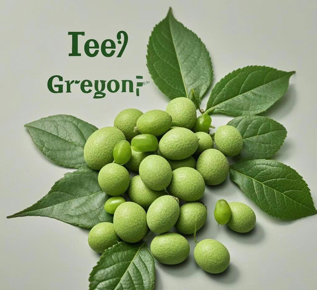 Chlorogenic Acid supplier