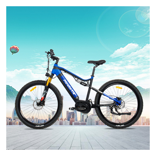 Suspensionable Mountain Electric Bike Manufacturer Suspensionable Mountain Electric Bike from China