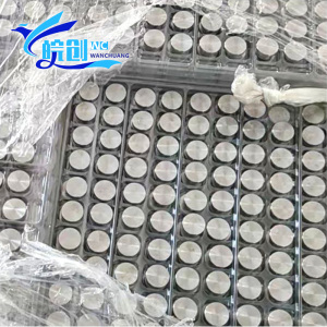 Multi-material pipe end sealing core plug-in