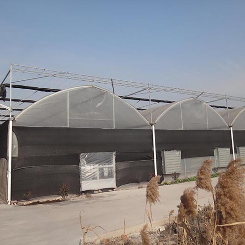 Large Plastic Film Multi Span Greenhouse Manufacturers and Large Plastic Film Multi Span Greenhouse Suppliers