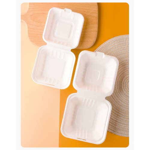 Suppliers for Sugarcane Biodegradable Bagasse Hamburger Takeaway Box